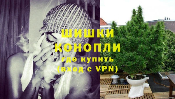 стафф Кулебаки